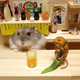 Illustration for article titled Hamster Bartenders Are the Best Bartenders